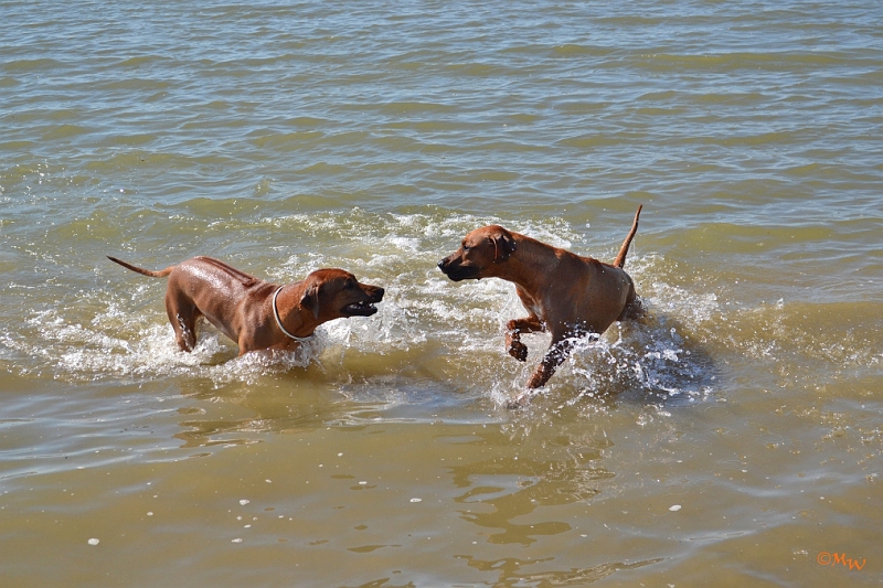 Malawi&Max_018.jpg