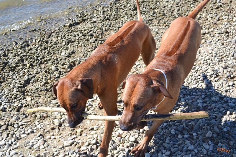 Malawi&Max_028.jpg