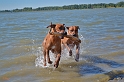 Malawi&Max_007