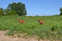 Malawi&Max_008