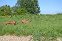 Malawi&Max_011