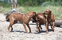 IMG_0888