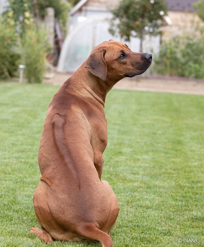 IMG_3124.jpg