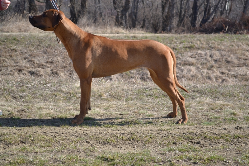 DSC_0088.JPG